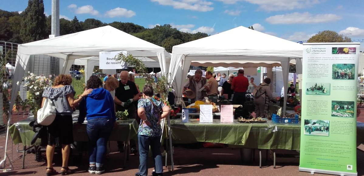 Forum des associations