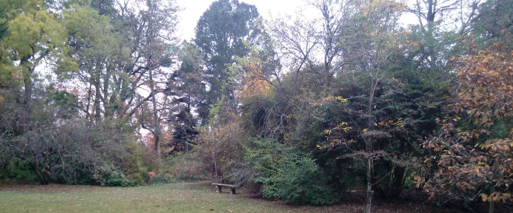 Arboretum Vilmorin - Nov. 2018