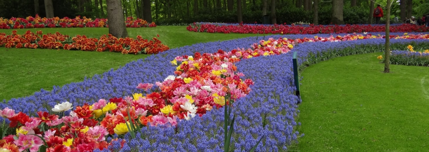 J2-3A Keukenhof (16)b3-min