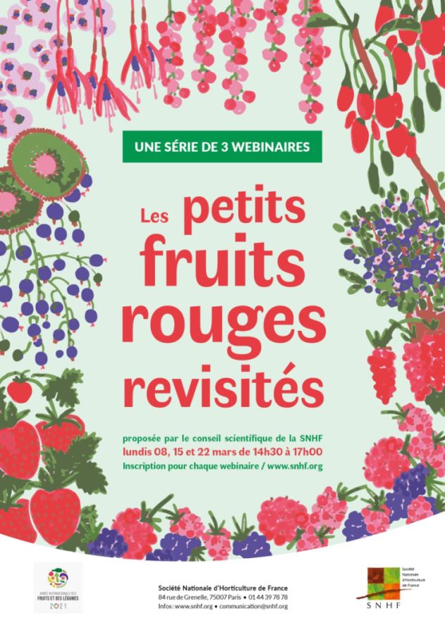 JI-2021-Les-petits-fruits-rouges-revisités-min