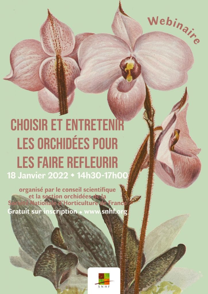 SNHF orchidées-20220118-724x1024
