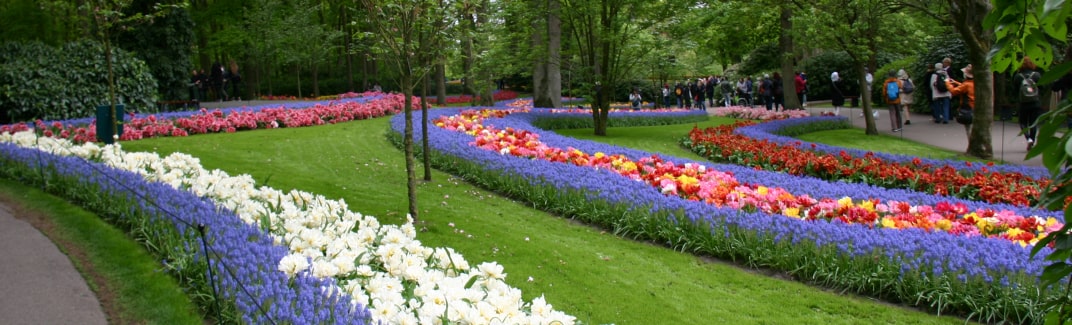 20190503 Keukenhof - RB001-min