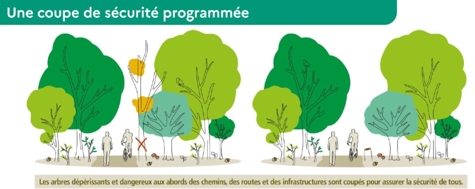 2022 - Coupe de sécurité -ONF