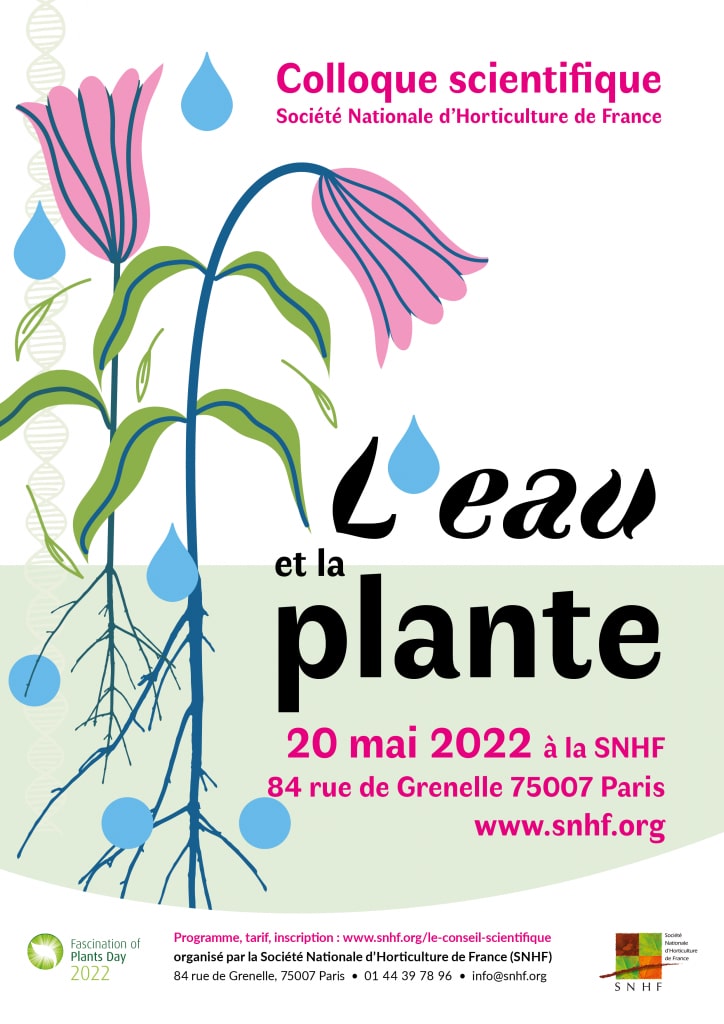 202205 Affiche-Leau-et-la-plante-724x1024