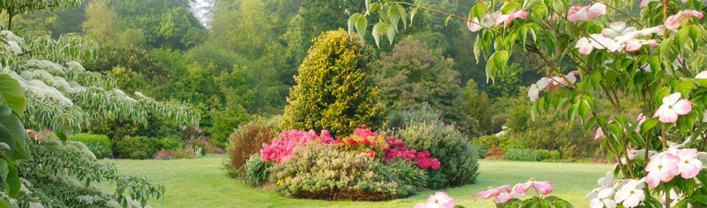 jardin botanique bretagne01-min