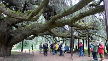 Visites & Voyages