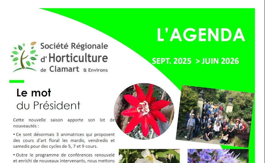 Agenda