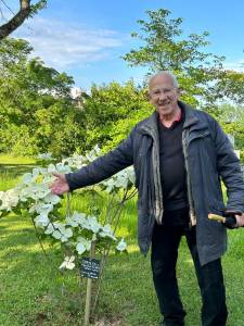 Bernard GAGNANT et le Cornus VENUS